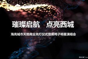 海亮城市天地2018商业亮灯仪式暨黑鸭子明星演唱会方案（PPT）