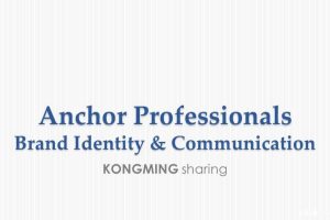 Anchor安佳品牌识别及沟通策略方案（英文版）（PPT）
