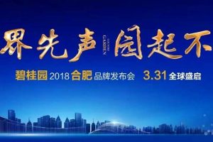 碧桂园2018合肥品牌发布会策划方案（PPT）