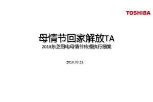 东芝厨电2018母亲节传播方案（PPT）