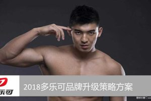 多乐可2018品牌升级策略方案（PPT）