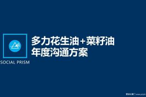 多力花生油2018-2019年媒介投放执行全案（PPT）