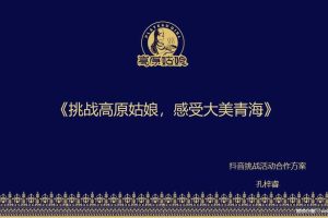 高原姑娘餐饮2018年抖音挑战赛合作方案（PPT）