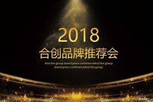 合创2018品牌推介会策划方案（PPT）