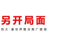恒大童世界整合推广提报方案（PPT）