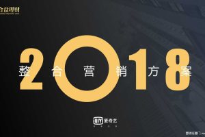 合盘理财 x 爱奇艺2018整合营销方案（PPT）
