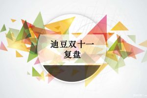 迪豆双11复盘方案（PPT）