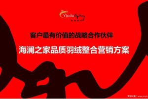 海澜之家品质羽绒整合营销方案（PPT）