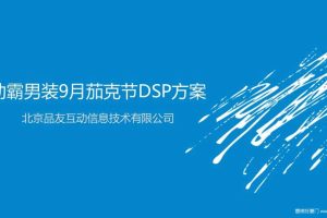 劲霸男装DSP投放天猫导流（PPT）