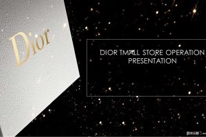 Dior天猫旗舰店2016开业营销运营方案（PPT）