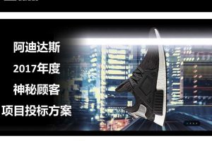 阿迪达斯2017年度神秘顾客项目投标方案-上海翔天（PPT）