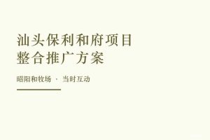 保利和府2017整合推广方案（PPT）