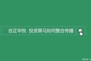 合正·华悦2017投资黑马整合传播方案（PPT）