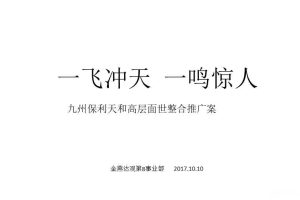 九州保利·天和2017高层面世整合推广方案（PPT）