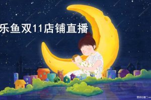 米乐鱼双11店铺直播方案（PPT）