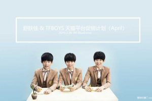 舒肤佳&TFBOYS2016年4月天猫平台促销方案（PPT）