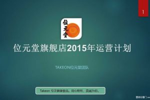 位元堂旗舰店2015电商运营规划方案（PPT）
