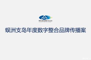蜈支洲岛2015年数字整合传播方案（PPT）