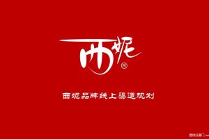 西妮品牌线上渠道规划方案（PPT）