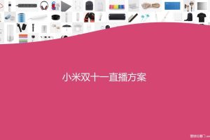 小米2017双11直播方案（PPT）