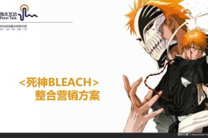 游戏《死神BLEACH》整合营销方案（PPT）