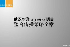 华润置地·武汉长丰村地块项目整合传播策略全案（PPT）
