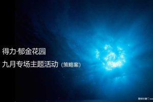 得力·郁金花园2018“私人定制名仕之夜”泳池派对活动方案（PPT）