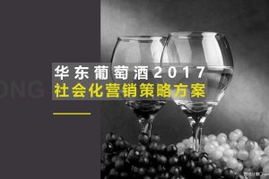 华东葡萄酒2017社会化营销方案（PPT）
