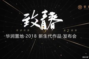 华润置地2018新生代作品发布会策划方案（PPT）