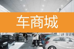 汽车之家品牌数字策略提案（PPT）