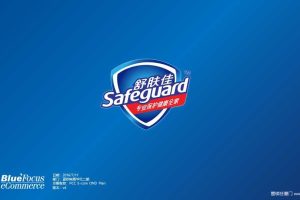 舒肤佳2016流感季电商活动传播方案（PPT）