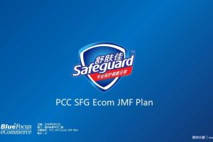 舒肤佳2017Q1电商活动计划方案（PPT）
