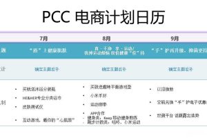 舒肤佳天猫旗舰店2017Q3电商活动计划方案（PPT）