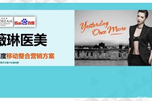 薇琳医美2015百度移动整合营销方案（PPT）