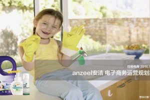 Anzeel安洁2016年电商运营规划方案（PDF）