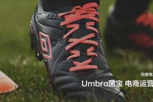 Umbro茵宝电商运营规划方案（PDF）