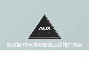 奥克斯Y5天猫款御蝶2018上线推广方案（PDF）