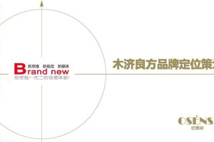 木济良方品牌定位策划方案（PDF）