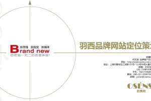 羽西品牌网站定位设计方案（PPT）