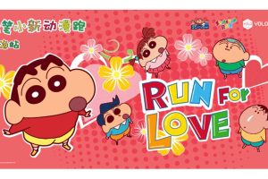 2017蜡笔小新动漫公益跑完赛报告（PPT）