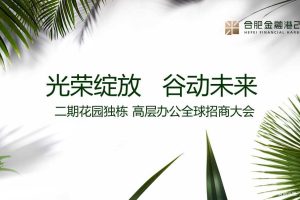 合肥金融港二期2018花园独栋&高层办公全球招商大会策划方案（PPT）