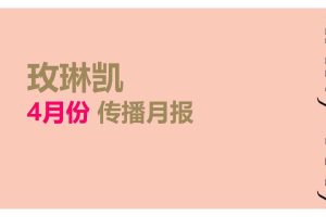 玫琳凯2017新媒体传播月报（PPT）