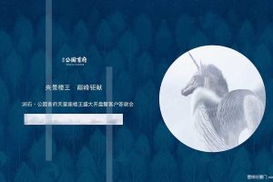 润石公园首府2018天玺座楼王盛大开盘暨客户答谢会策划案（PPT）