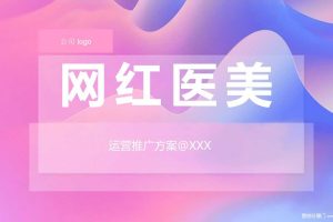 网红电商医美行业运营推广方案（PPT）