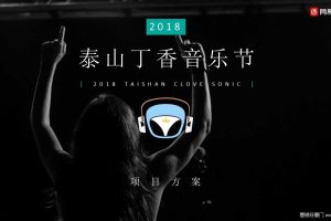 网易云音乐2018泰山丁香音乐节活动方案（PPT）