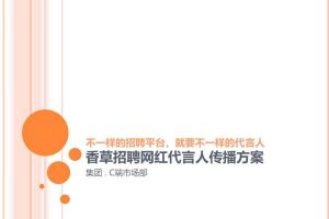 香草招聘网红代言人传播方案（PPT）