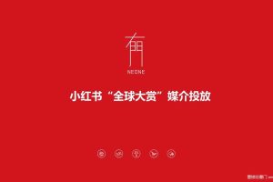 小红书2015“全球大赏”媒介投放总结（PPT）