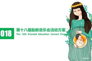 远东妇儿科医院2018胎教音乐会活动方案（PPT）