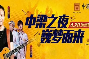 中梁壹号院2018池州群星演唱会造势活动策划案（PPT）