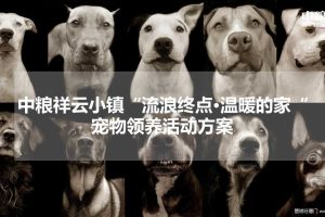中粮·祥云小镇2016宠物领养活动方案（PPT）